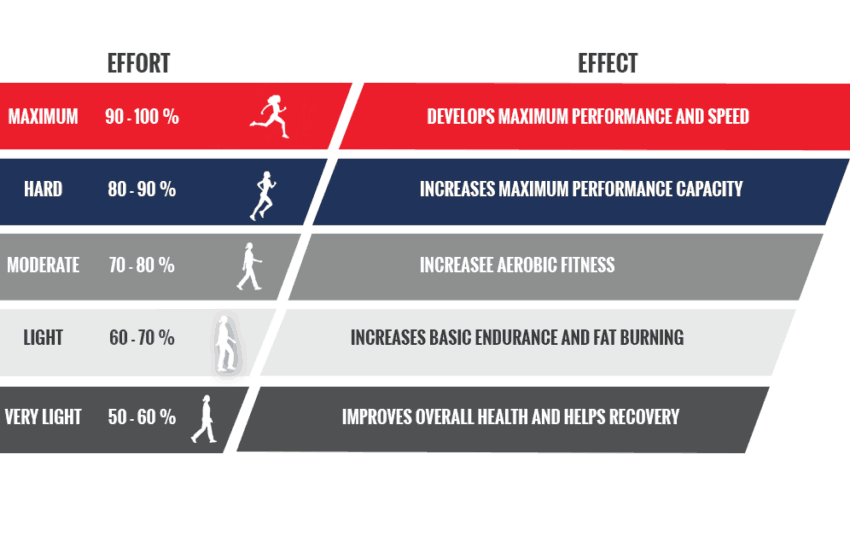 The Importance Of Fitness Training Education To Be In The Fitness Career