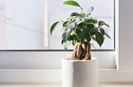5 Housewarming Gifts From Portico to Die For