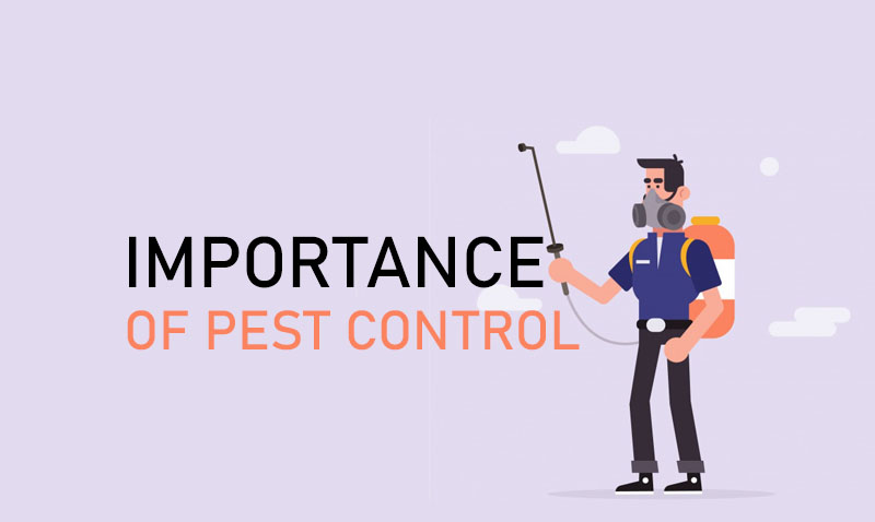 Importance Of Pest Control