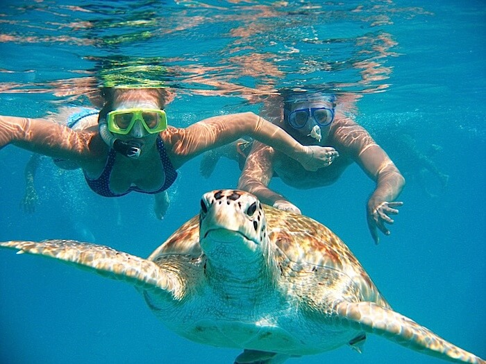  Best Locations For Snorkelling In Tenerife For An Extraordinary Fascinating Adventure