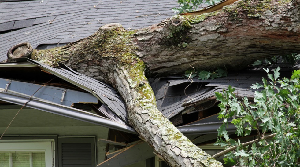 Damage Roof Repairs